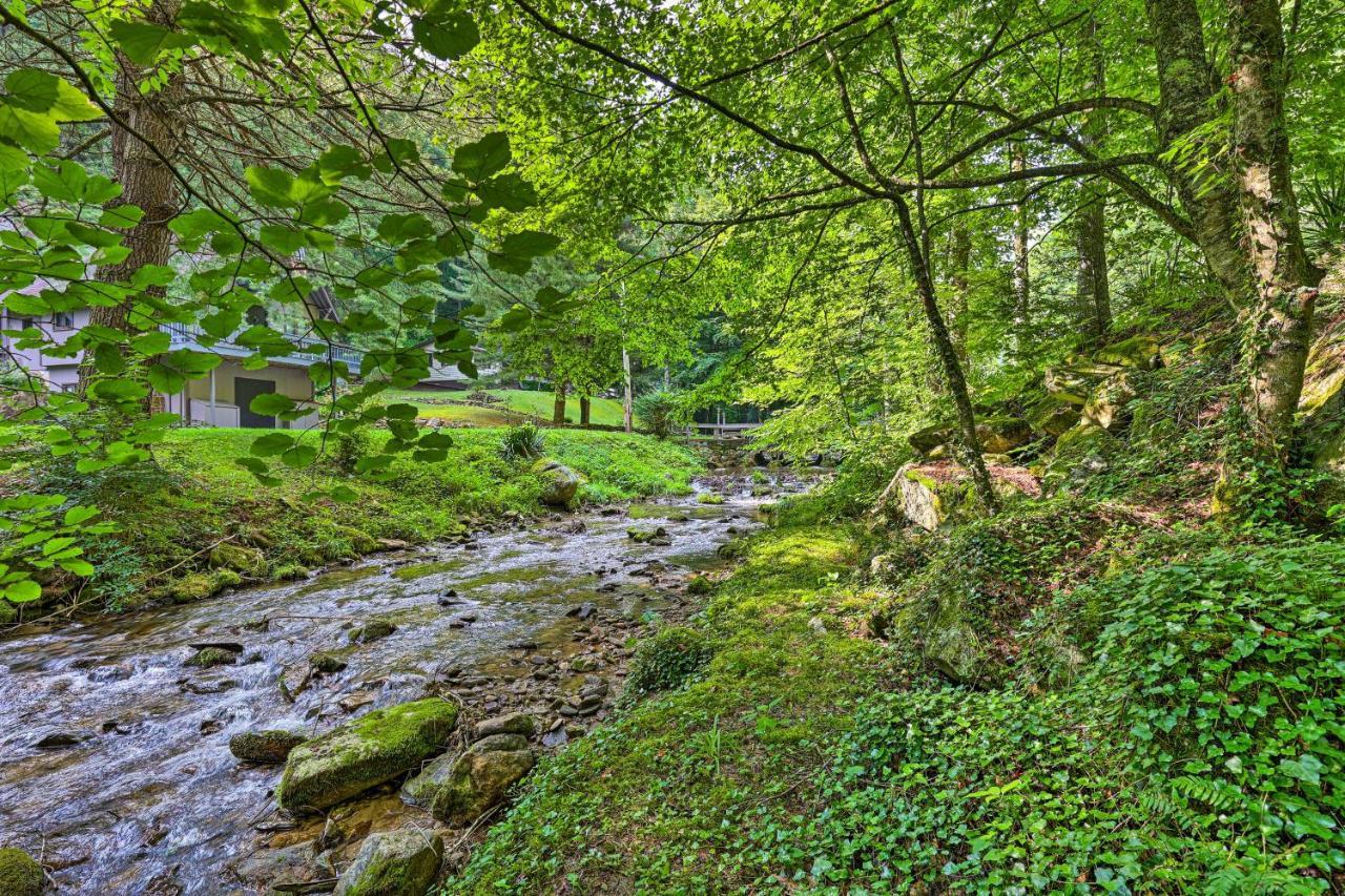 Roan Mountain Creekside Cabin Hike And Fish! Exterior foto
